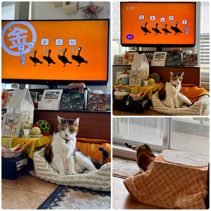 8c79fa52 d483 4286 81c1 b1ed8df73a91 1713481130458