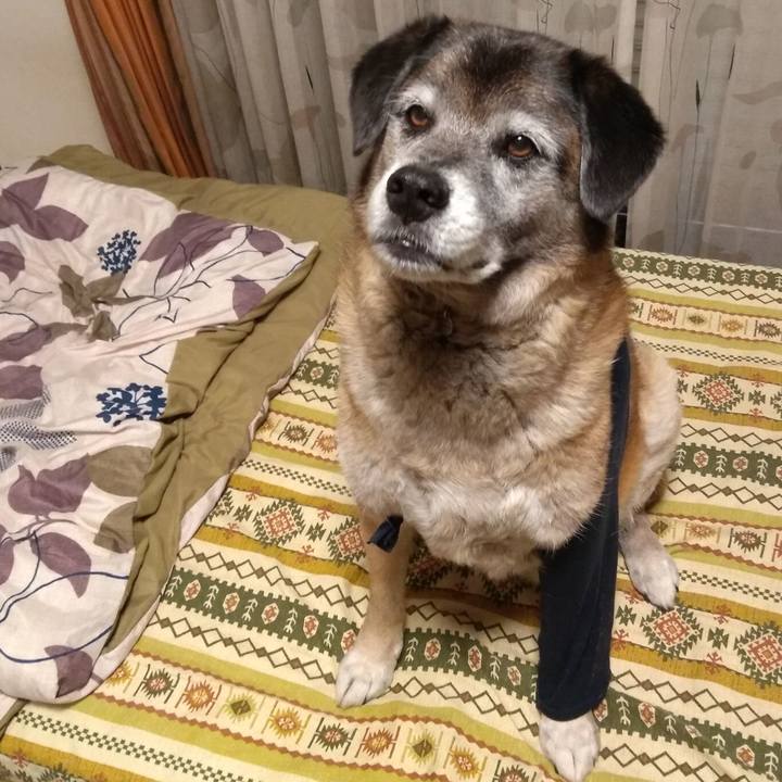 8c7a1a09 81de 4020 b234 59e023ea437d 1560603921345