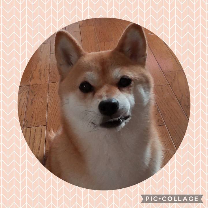 8c7a3718 27e7 4c8e b427 aaad9c7c78c4 1722733543688