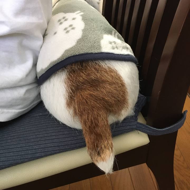 8c7a62fb 18d9 4214 a46a 53b0cced5aa7 1605917322397