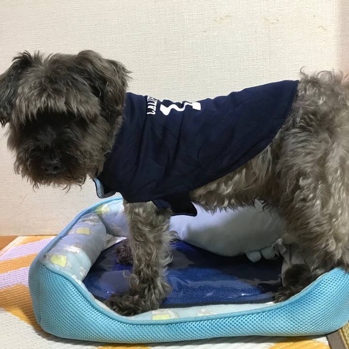 8c7a7219 8d01 4d37 88be f54f4fe7a49e 1533305425656