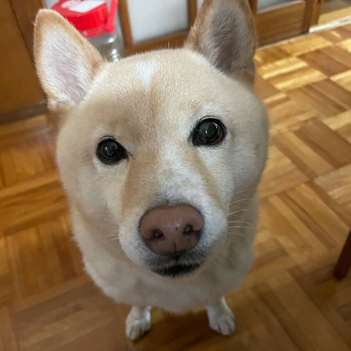 8c7a8127 3dd9 46ca 9b27 3359d5bec1e4 1682462009442