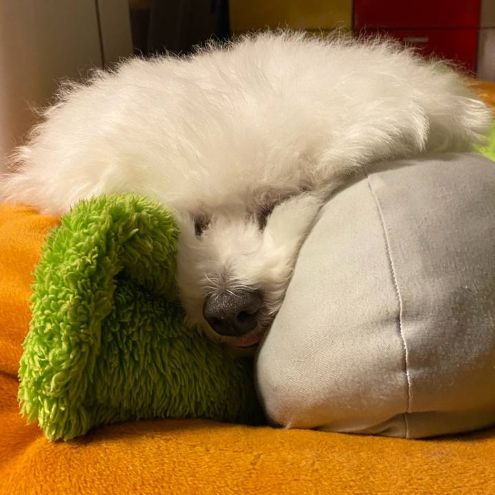 8c7a969d cf0b 4426 a078 b58e7acf8d4e 1663419417893