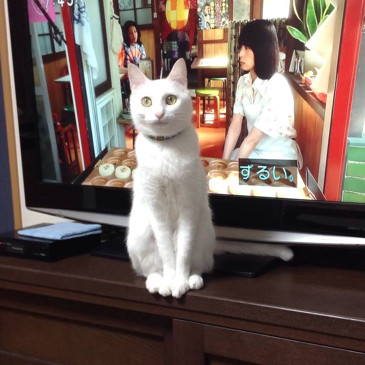 8c7a9a73 681b 4435 b0e1 02e628043fd3 1643669292338