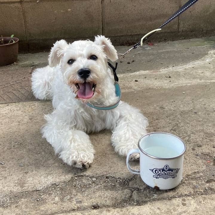 8c7aaf14 890c 4d43 93aa d0d143192b6e 1764030165673