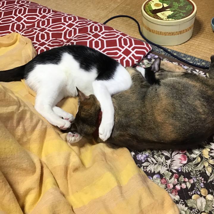 8c7aba45 0f07 4a98 a036 e8e726bc8b16 1638314520964