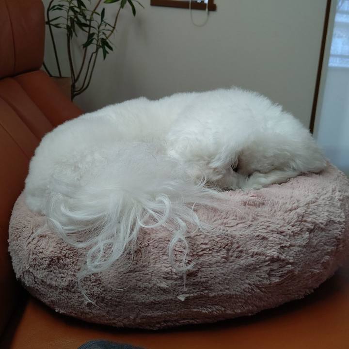 8c7abbc9 7969 4aaf b438 1b51743b0ceb 1606884106610