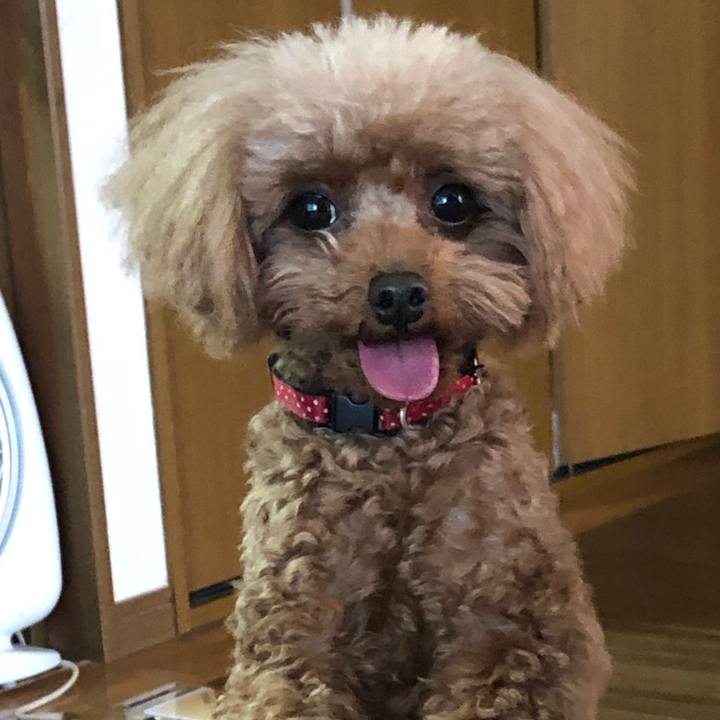 8c7ae818 0a6d 4904 ae2c 185f9cfd3a3a 1615010155194