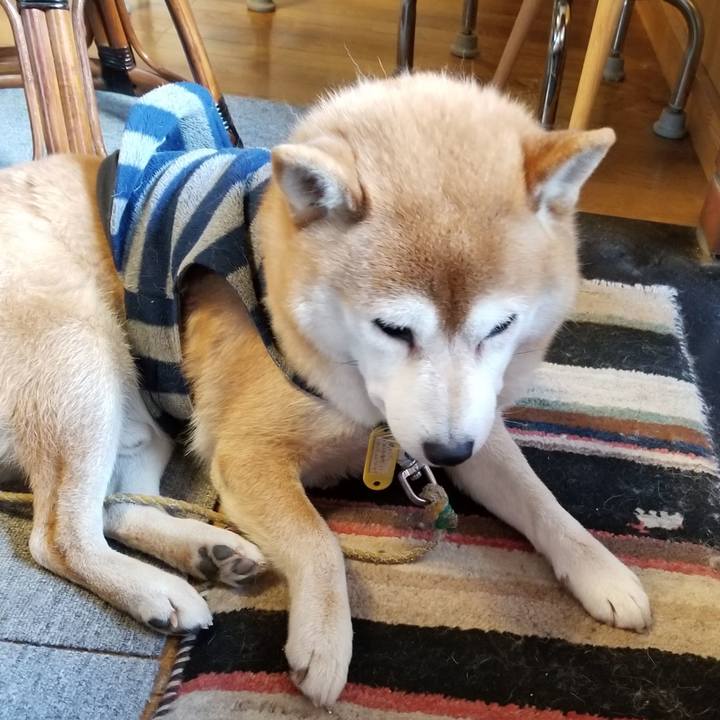 8c7b2639 e741 40c4 a8b3 7ddb54b4aa5f 1579395638899