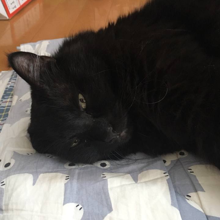 8c7b2cce e8c3 4c48 be10 44b641bdb8ec 1520562989262