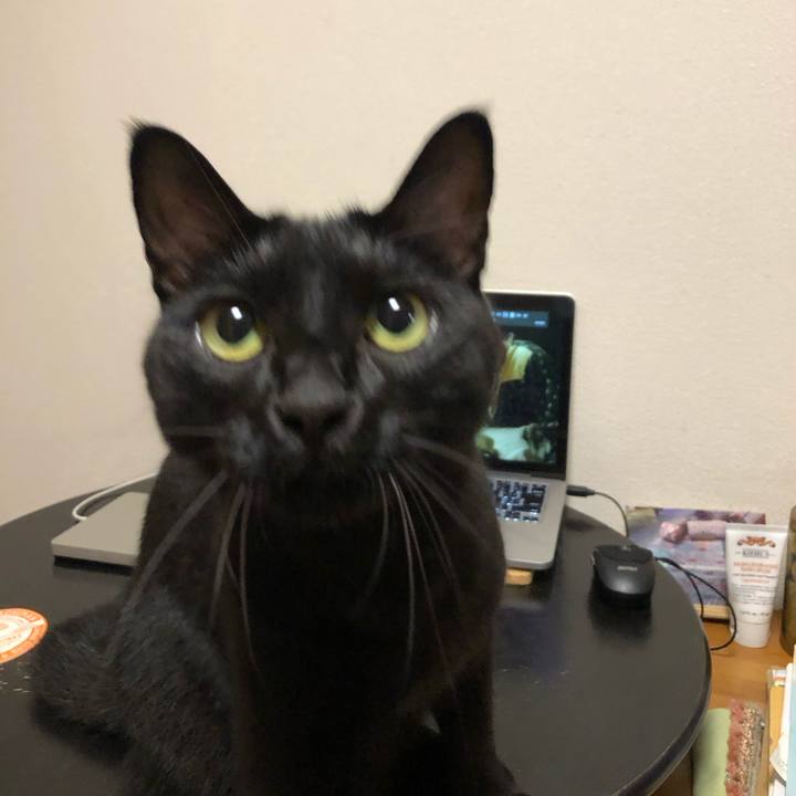 8c7b3198 a13d 4fd2 9eb1 7278473e5876 1599137189104