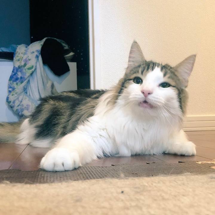 8c7b79d7 d3e5 456b 858e 04736b9d127f 1540365084015