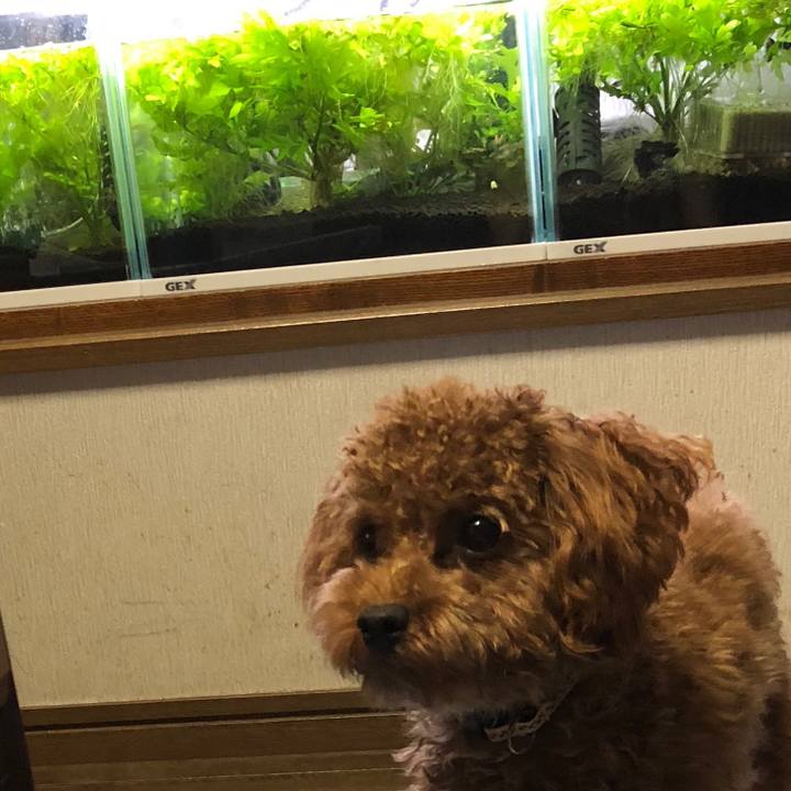 8c7b7e47 2514 4fed b1af 86a9d1b8238e 1507970332592