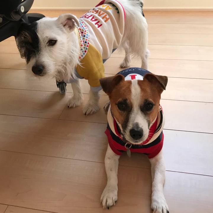 8c7b857f 87db 4d07 903b f6b573424d59 1509607005257