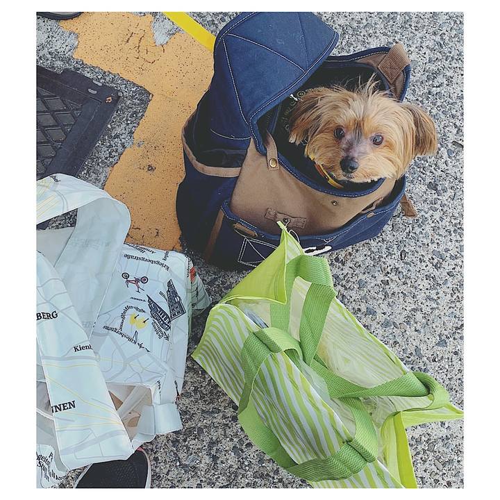 8c7bca91 91b9 42b3 bce6 2d9f00f8d1cd 1573357500152