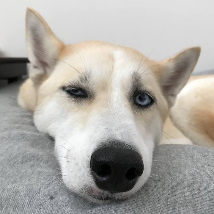 8c7bcadc 4e43 480b 89ad 9c17f9bc4197 1535551171637