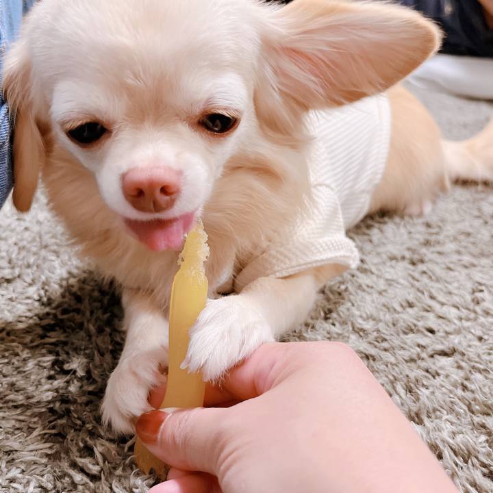 8c7be82c 2c6d 4ac6 99be aacef0a829d2 1666498381633