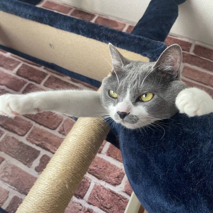 8c7bf441 b877 43d1 97af 3abb1ec002e7 1664687183853