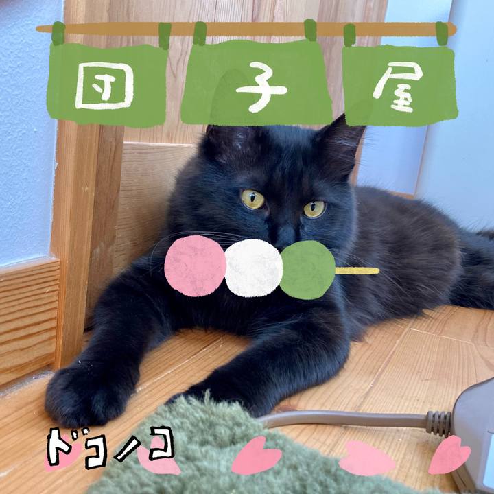 8c7c036d 1bf1 4744 9a03 6f390753e4b5 1712210799329