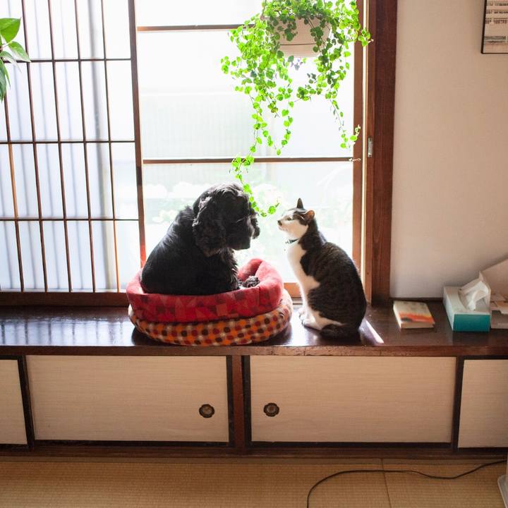 8c7c3b95 b7f3 4e96 85e3 7c253ec130d9 1583904834977