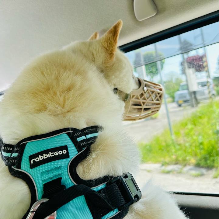 8c7c3bbe f4e8 4678 88ea 2b635e489e48 1685128690716