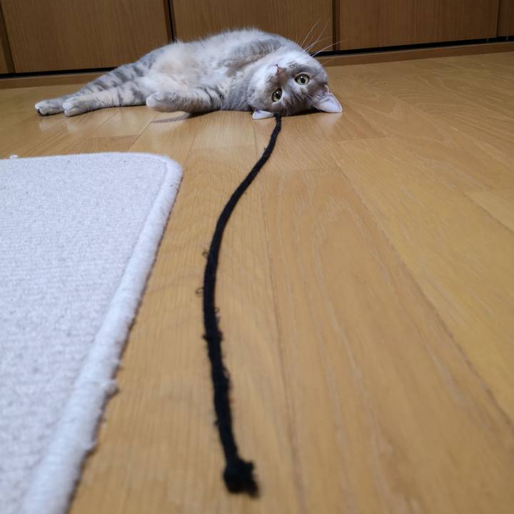 8c7c6b0b 3d70 471f a8fc 47ae5ebbe257 1561555528692