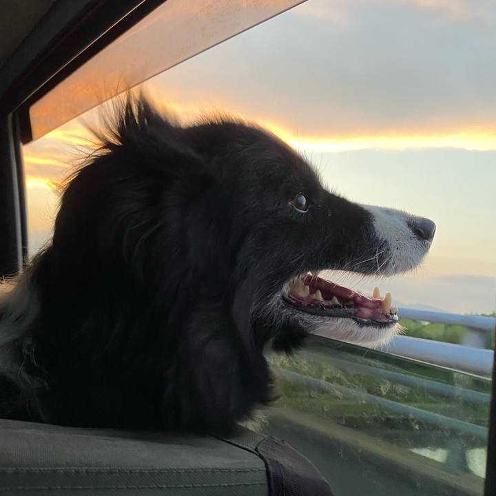 8c7cb8f8 09b8 4cfa ba09 a600ad113d91 1593348349854