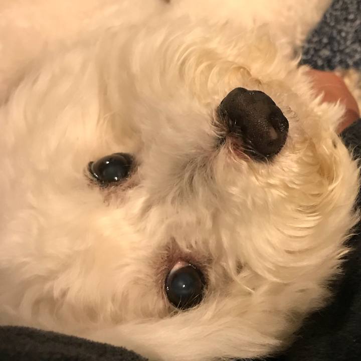 8c7d02d6 eaf5 4cbf 878b 570109a5c433 1550662943249