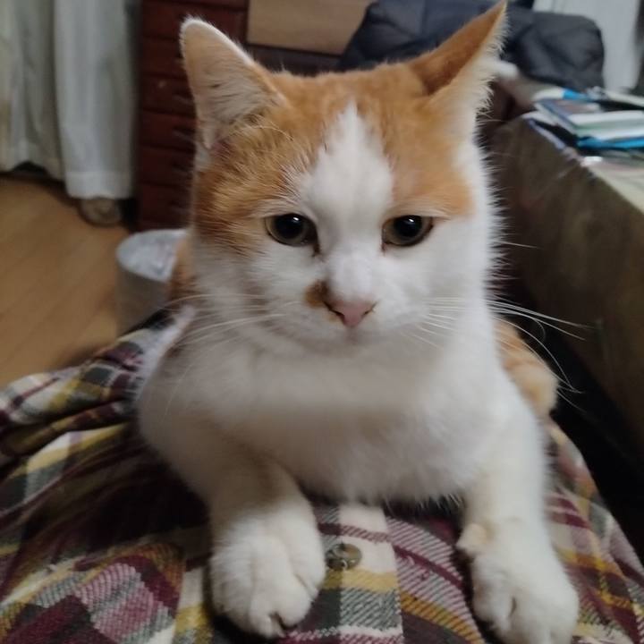 8c7d02eb 8fe6 4123 b9fc bb03337bd612 1766446330257