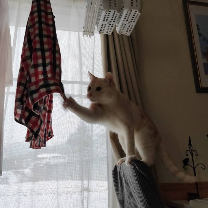 8c7d15fa 00ec 4726 8a63 4d0007788a34 1676256660137