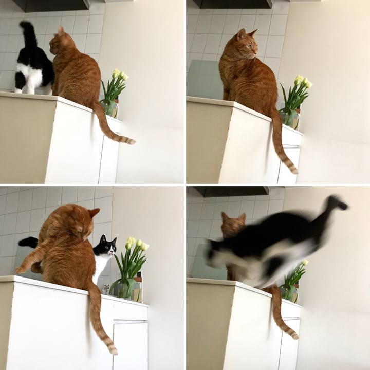 8c7d1ed8 edbc 4edf be69 f3ba32541ffa 1515654092633