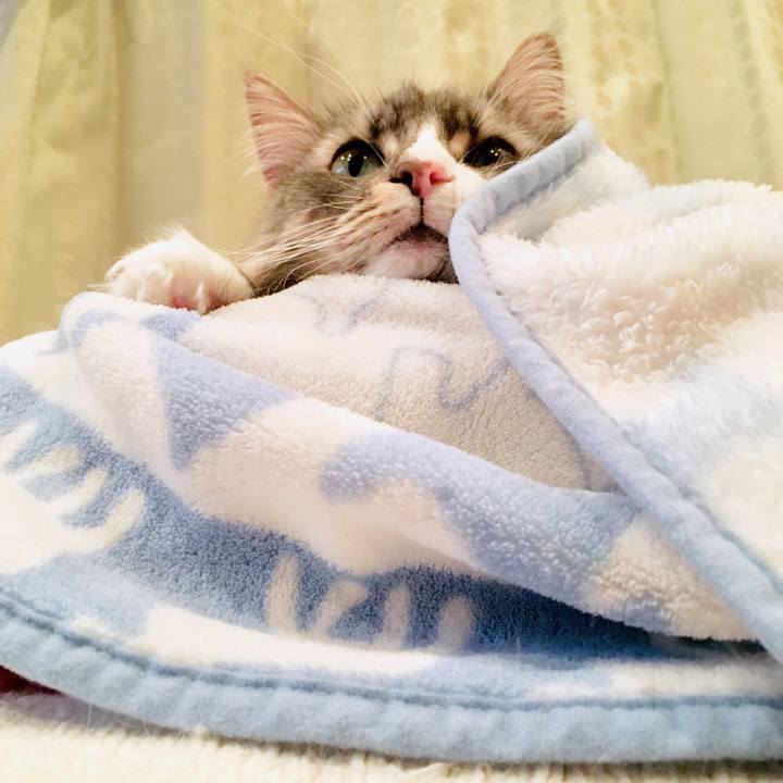 8c7d238d a5a1 4132 bd91 c59526500a9f 1556387848424