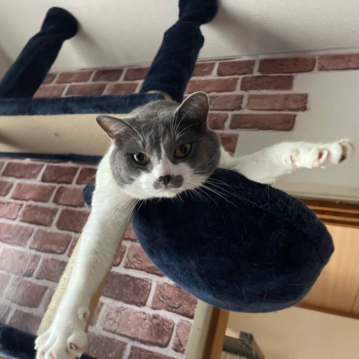 8c7d536e ed1f 4c56 a8ea ca9c7739b8a5 1663573307268