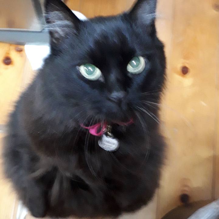 8c7d6929 c1a7 4dee 8aac b6f1920154a8 1518436176391