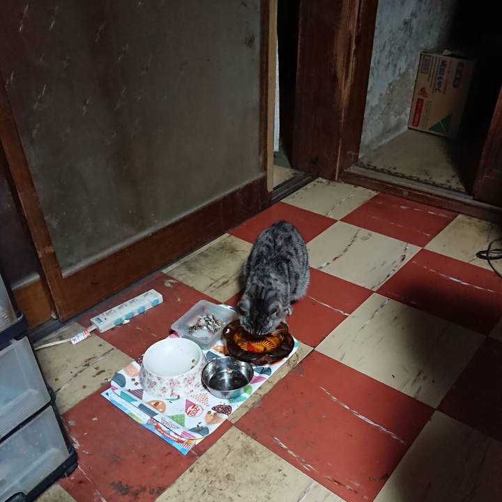 8c7daee4 85a1 4417 b2ac 61fd2ad54575 1589485500811