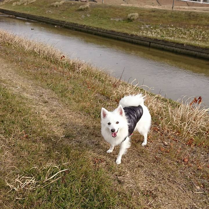 8c7dcbdf a494 4644 b344 be84ba4abf60 1517375974368