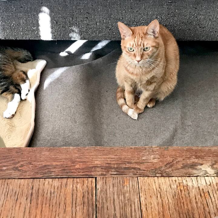 8c7dfb64 270c 4ce3 9299 c301857fb481 1552873146977