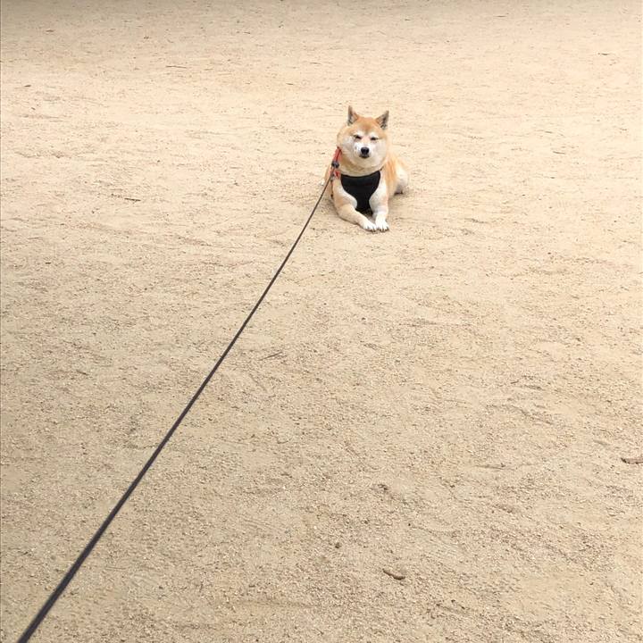 8c7e3139 d5d5 481b a4bd 972bc87d3732 1557407961932