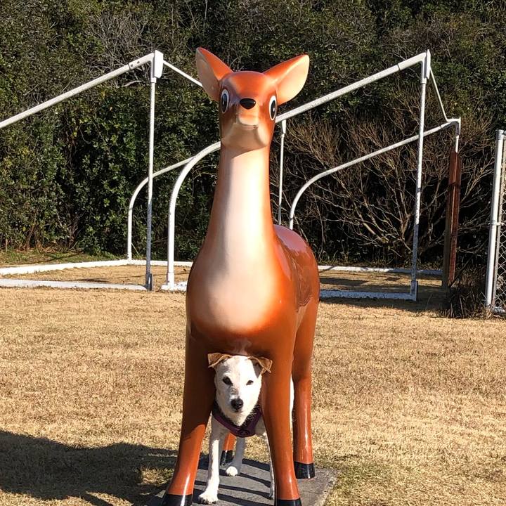 8c7e3899 b85f 4e52 8429 45c4e70eec4d 1577769543506