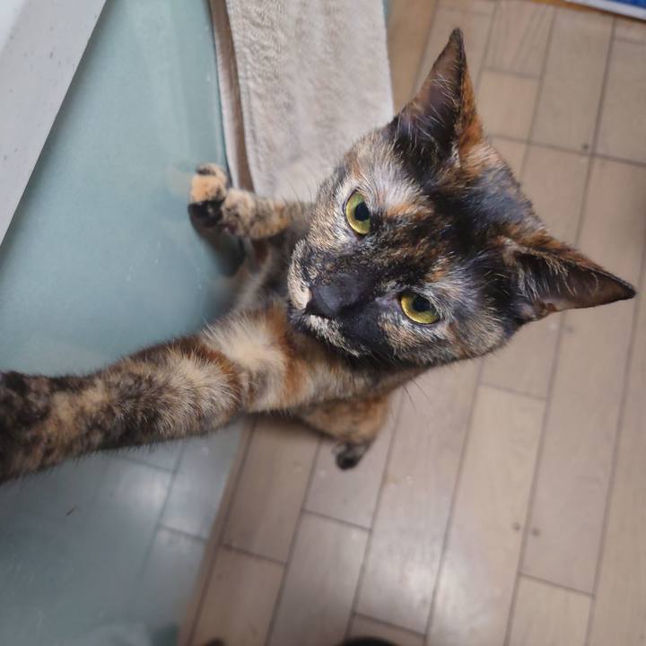 8c7e3f26 a761 4d7f b717 e5b314197cab 1741391797824