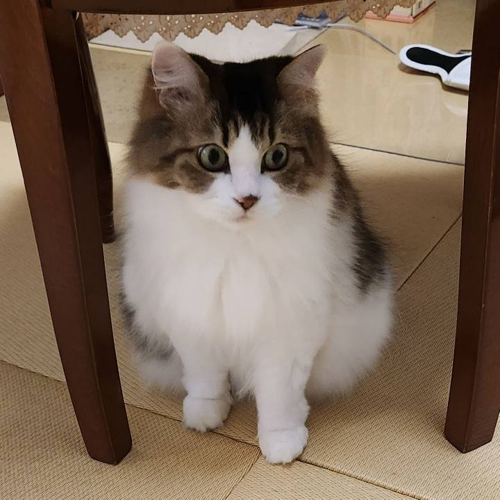 8c7e6cc5 c3ea 4c42 869f 6d6cec453d71 1697885531512