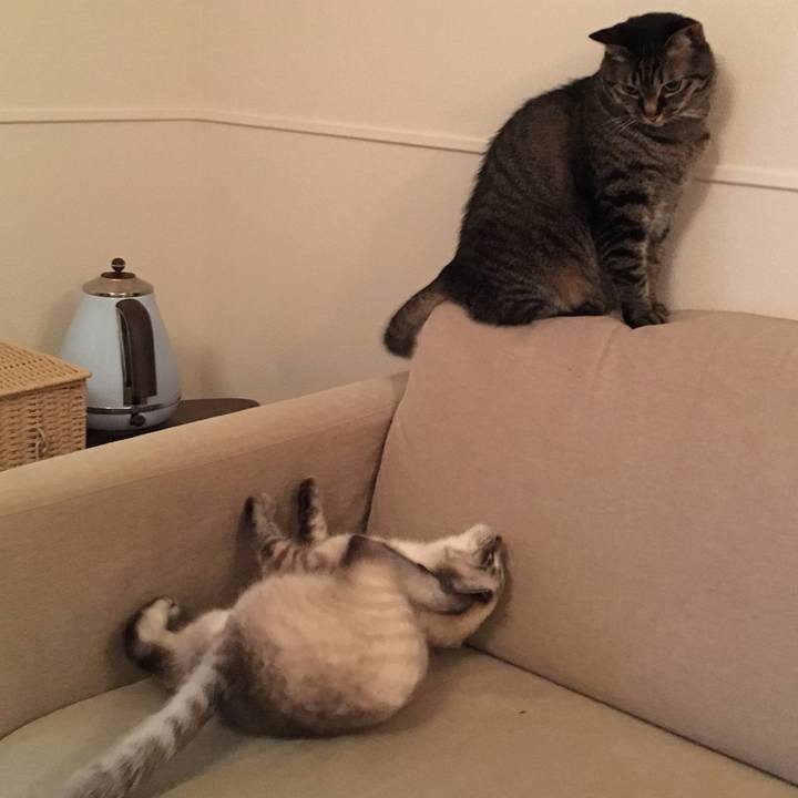 8c7e7872 eb31 4128 9e28 3b2966c17ead 1560599320413