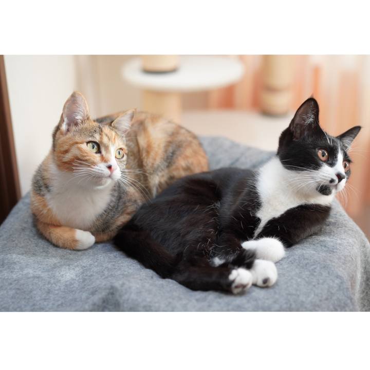 8c7e9d04 4128 4158 ac3b 00d7b3c3ae59 1580861336027