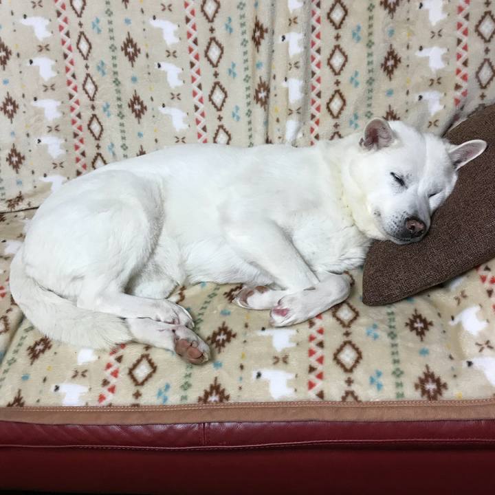 8c7e9d51 2eac 4ac7 995d e8026f12bc5a 1515147962284