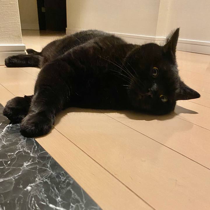 8c7e9e09 3e42 4942 92d8 2c99ccf8db05 1754138551207