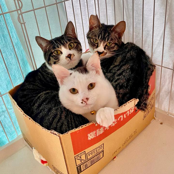 8c7eccce bbb9 46b4 9265 037bfa18c1fe 1708663647299