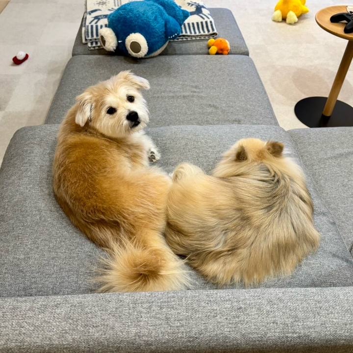 8c7f0220 59c5 4ffe a7d8 105a0cc2631f 1774606408154