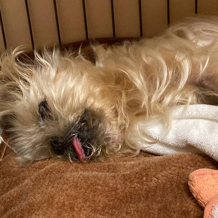 8c7f18f9 d1eb 41ee aa57 1b41248f463e 1619522561513