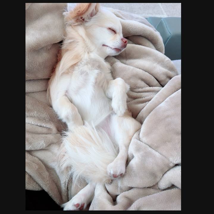 8c7f55b3 0f66 4d17 a12c df02a6bedf4e 1715597762786