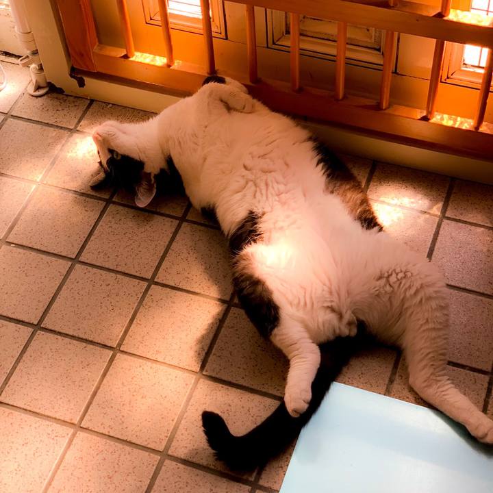 8c7f6eed 6b2e 4101 ac86 e870f6973468 1562897757490